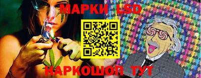гидропоника Жуковский